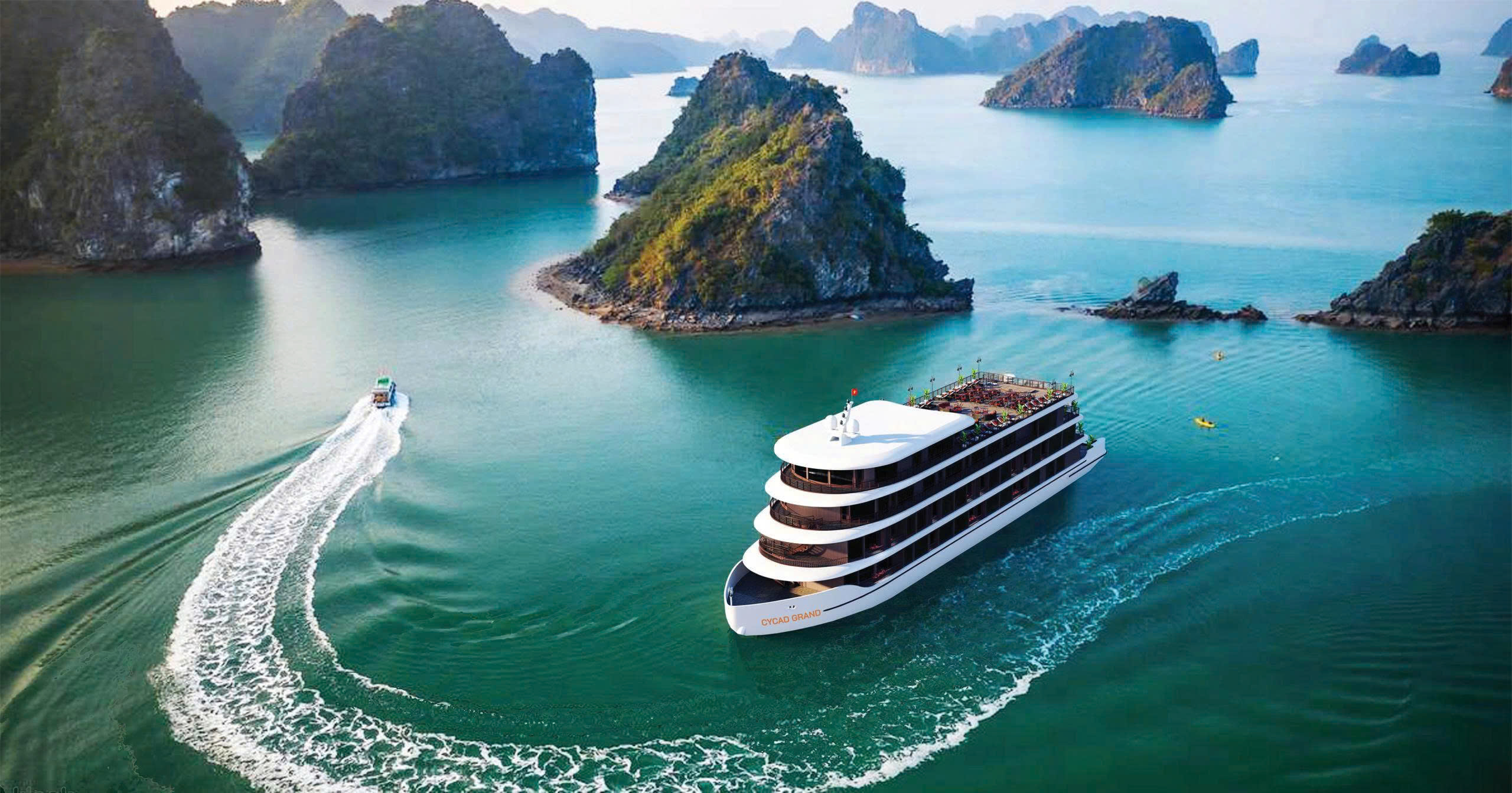Cycad Grand Cruise